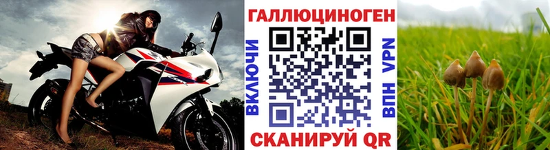 цена наркотик  Суоярви  blacksprut ССЫЛКА  Галлюциногенные грибы Magic Shrooms 